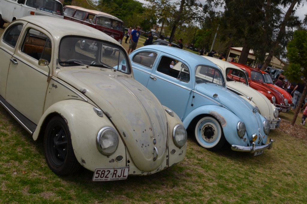 Volkswagen Beetles in multiple colours and models will be lined up for display in Leslie Park on Saturday. 